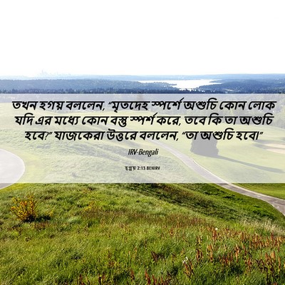 Picture 06 - হ্গ্গয় 2:13 BENIRV - তখন হগয় বললেন, - Bible Verse Picture