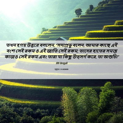 Picture 06 - হ্গ্গয় 2:14 BENIRV - তখন হগয় উত্তরে - Bible Verse Picture