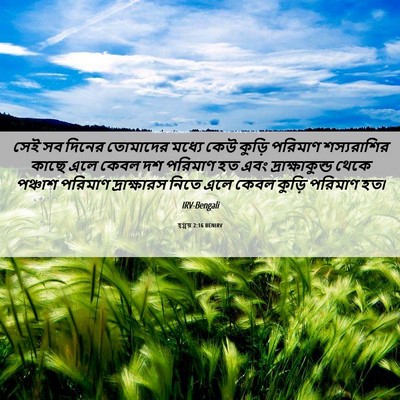 Picture 06 - হ্গ্গয় 2:16 BENIRV - সেই সব দিনের - Bible Verse Picture