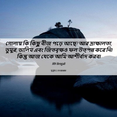 Picture 06 - হ্গ্গয় 2:19 BENIRV - গোলায় কি কিছু বীজ - Bible Verse Picture