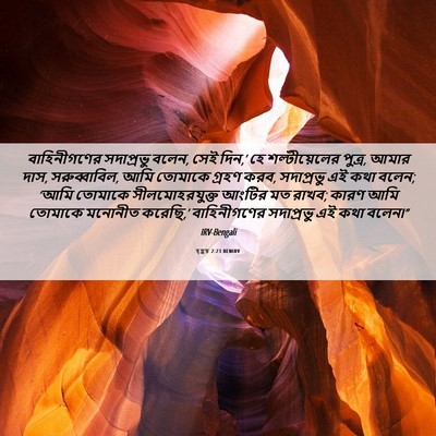 Picture 06 - হ্গ্গয় 2:23 BENIRV - বাহিনীগণের - Bible Verse Picture