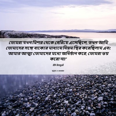 Picture 06 - হ্গ্গয় 2:5 BENIRV - তোমরা যখন মিশর - Bible Verse Picture