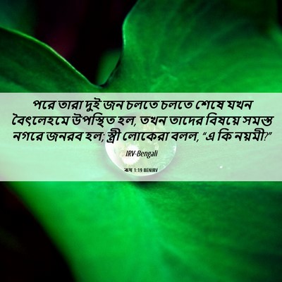 Picture 06 - ৰূথ 1:19 BENIRV - পরে তারা দুই জন - Bible Verse Picture