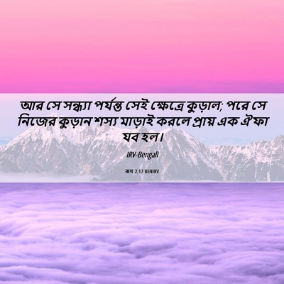 Picture 06 - ৰূথ 2:17 BENIRV - আর সে সন্ধ্যা - Bible Verse Picture