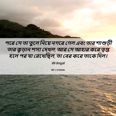 Picture 06 - ৰূথ 2:18 BENIRV - পরে সে তা তুলে - Bible Verse Picture