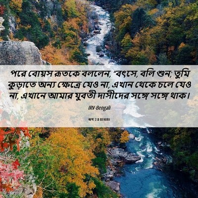Picture 06 - ৰূথ 2:8 BENIRV - পরে বোয়স রূতকে - Bible Verse Picture