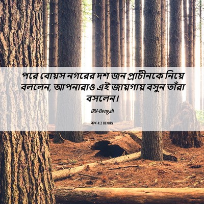 Picture 06 - ৰূথ 4:2 BENIRV - পরে বোয়স নগরের দশ - Bible Verse Picture