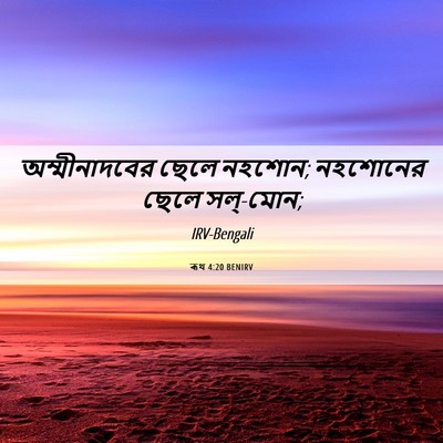 Picture 06 - ৰূথ 4:20 BENIRV - অম্মীনাদবের ছেলে - Bible Verse Picture