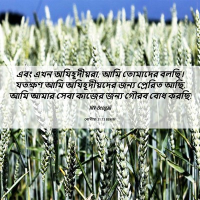 Picture 06 - ৰোমীয়া 11:13 BENIRV - এবং এখন - Bible Verse Picture