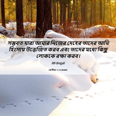 Picture 06 - ৰোমীয়া 11:14 BENIRV - সম্ভবত যারা আমার - Bible Verse Picture