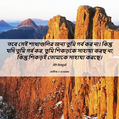 Picture 06 - ৰোমীয়া 11:18 BENIRV - তবে সেই শাখাগুলির - Bible Verse Picture