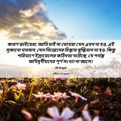 Picture 06 - ৰোমীয়া 11:25 BENIRV - কারণ ভাইয়েরা, আমি - Bible Verse Picture