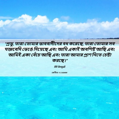 Picture 06 - ৰোমীয়া 11:3 BENIRV - “প্রভু, তারা তোমার - Bible Verse Picture
