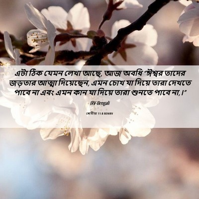 Picture 06 - ৰোমীয়া 11:8 BENIRV - এটা ঠিক যেমন লেখা - Bible Verse Picture