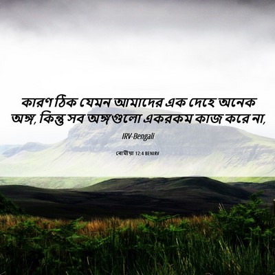 Picture 06 - ৰোমীয়া 12:4 BENIRV - কারণ ঠিক যেমন - Bible Verse Picture