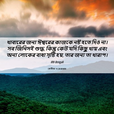 Picture 06 - ৰোমীয়া 14:20 BENIRV - খাবারের জন্য - Bible Verse Picture