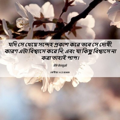 Picture 06 - ৰোমীয়া 14:23 BENIRV - যদি সে খেয়ে - Bible Verse Picture