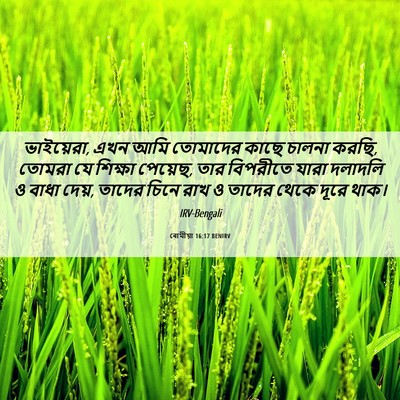 Picture 06 - ৰোমীয়া 16:17 BENIRV - ভাইয়েরা, এখন আমি - Bible Verse Picture