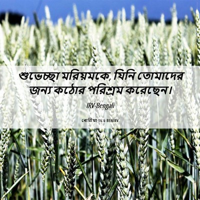 Picture 06 - ৰোমীয়া 16:6 BENIRV - শুভেচ্ছা - Bible Verse Picture