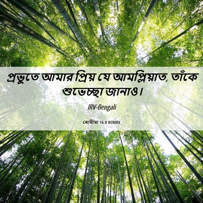 Picture 06 - ৰোমীয়া 16:8 BENIRV - প্রভুতে আমার - Bible Verse Picture