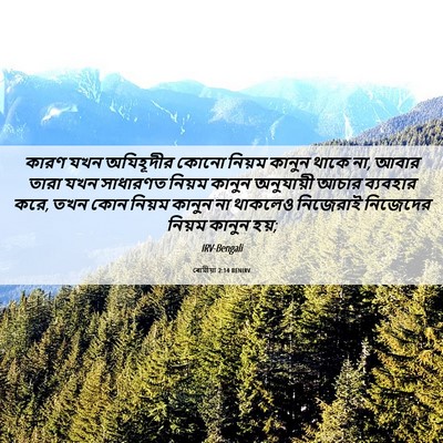 Picture 06 - ৰোমীয়া 2:14 BENIRV - কারণ যখন অযিহূদীর - Bible Verse Picture