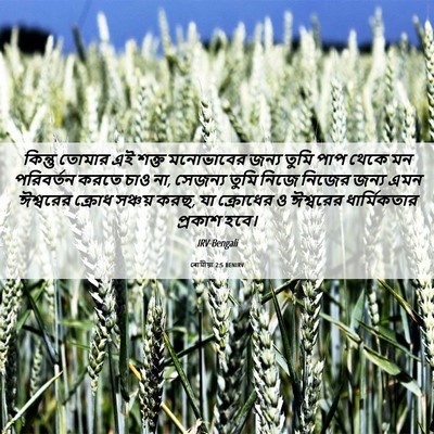 Picture 06 - ৰোমীয়া 2:5 BENIRV - কিন্তু তোমার এই - Bible Verse Picture
