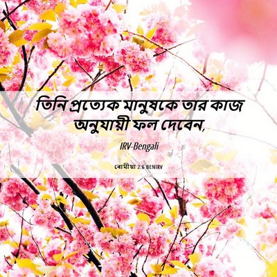 Picture 06 - ৰোমীয়া 2:6 BENIRV - তিনি প্রত্যেক - Bible Verse Picture