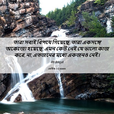 Picture 06 - ৰোমীয়া 3:12 BENIRV - তারা সবাই বিপথে - Bible Verse Picture