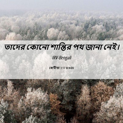 Picture 06 - ৰোমীয়া 3:17 BENIRV - তাদের কোনো - Bible Verse Picture