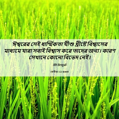 Picture 06 - ৰোমীয়া 3:22 BENIRV - ঈশ্বরের সেই - Bible Verse Picture