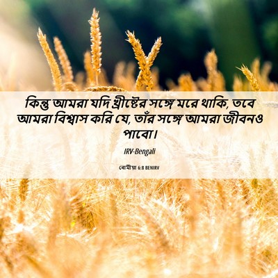 Picture 06 - ৰোমীয়া 6:8 BENIRV - কিন্তু আমরা যদি - Bible Verse Picture