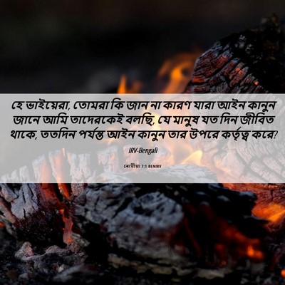 Picture 06 - ৰোমীয়া 7:1 BENIRV - হে ভাইয়েরা, তোমরা - Bible Verse Picture