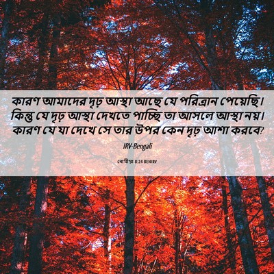 Picture 06 - ৰোমীয়া 8:24 BENIRV - কারণ আমাদের দৃঢ় - Bible Verse Picture