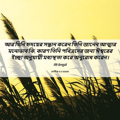 Picture 06 - ৰোমীয়া 8:27 BENIRV - আর যিনি হৃদয়ের - Bible Verse Picture