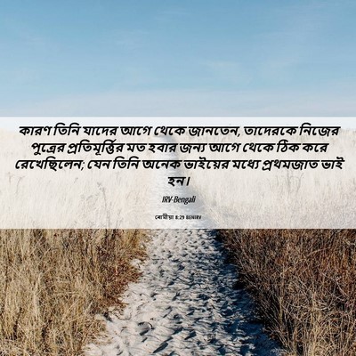Picture 06 - ৰোমীয়া 8:29 BENIRV - কারণ তিনি যাদের - Bible Verse Picture