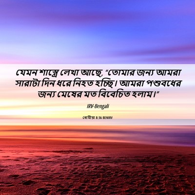 Picture 06 - ৰোমীয়া 8:36 BENIRV - যেমন শাস্ত্রে - Bible Verse Picture