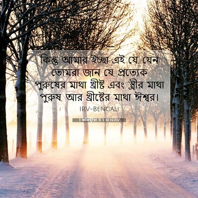Picture 07 - 1 কৰিন্থীয়া 11:3 BENIRV - কিন্তু আমার ইচ্ছা - Bible Verse Picture