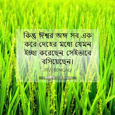 Picture 07 - 1 কৰিন্থীয়া 12:18 BENIRV - কিন্তু ঈশ্বর অঙ্গ - Bible Verse Picture