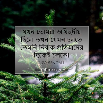 Picture 07 - 1 কৰিন্থীয়া 12:2 BENIRV - যখন তোমরা - Bible Verse Picture