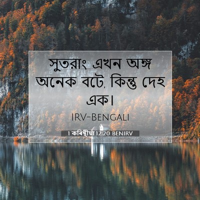 Picture 07 - 1 কৰিন্থীয়া 12:20 BENIRV - সুতরাং এখন অঙ্গ - Bible Verse Picture