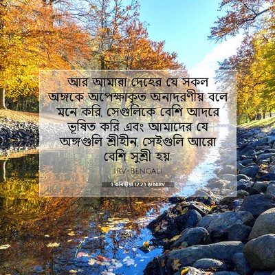 Picture 07 - 1 কৰিন্থীয়া 12:23 BENIRV - আর আমারা দেহের যে - Bible Verse Picture