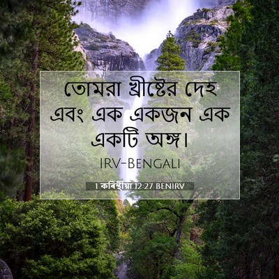 Picture 07 - 1 কৰিন্থীয়া 12:27 BENIRV - তোমরা খ্রীষ্টের - Bible Verse Picture