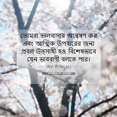 Picture 07 - 1 কৰিন্থীয়া 14:1 BENIRV - তোমরা ভালবাসার - Bible Verse Picture