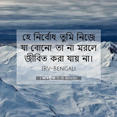 Picture 07 - 1 কৰিন্থীয়া 15:36 BENIRV - হে নির্বোধ, তুমি - Bible Verse Picture