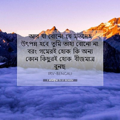 Picture 07 - 1 কৰিন্থীয়া 15:37 BENIRV - আর যা বোনো, যে - Bible Verse Picture