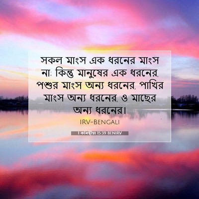 Picture 07 - 1 কৰিন্থীয়া 15:39 BENIRV - সকল মাংস এক ধরনের - Bible Verse Picture