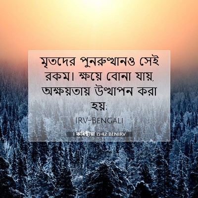 Picture 07 - 1 কৰিন্থীয়া 15:42 BENIRV - মৃতদের - Bible Verse Picture