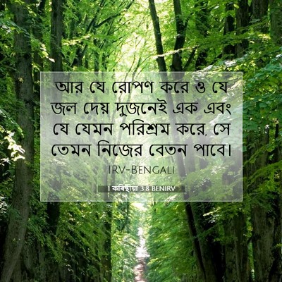 Picture 07 - 1 কৰিন্থীয়া 3:8 BENIRV - আর যে রোপণ করে ও যে - Bible Verse Picture