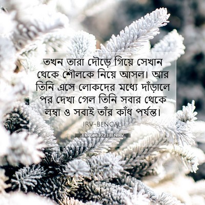 Picture 07 - 1 চমূৱেল 10:23 BENIRV - তখন তারা দৌড়ে - Bible Verse Picture