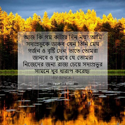Picture 07 - 1 চমূৱেল 12:17 BENIRV - আজ কি গম কাটার দিন - Bible Verse Picture